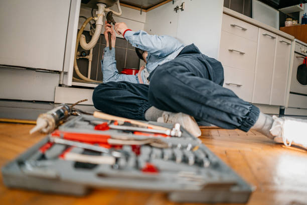 Best Local Plumber Services  in Foley, MN